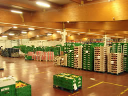 endovis logistics